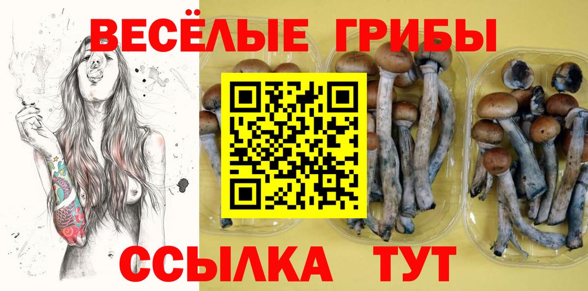 Ржев  Псилоцибиновые грибы Cubensis  Вход с VPN 